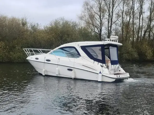 Sealine SC29