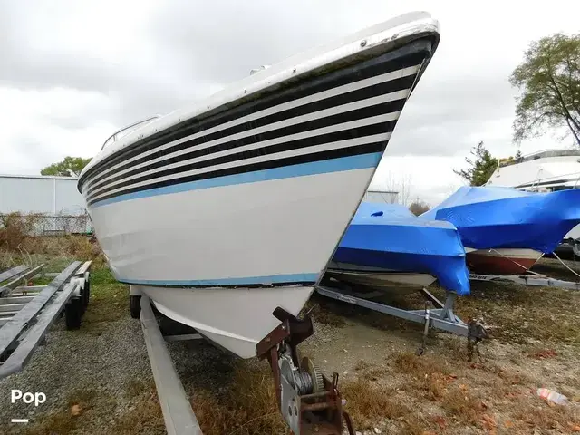 Andrews Boats IV