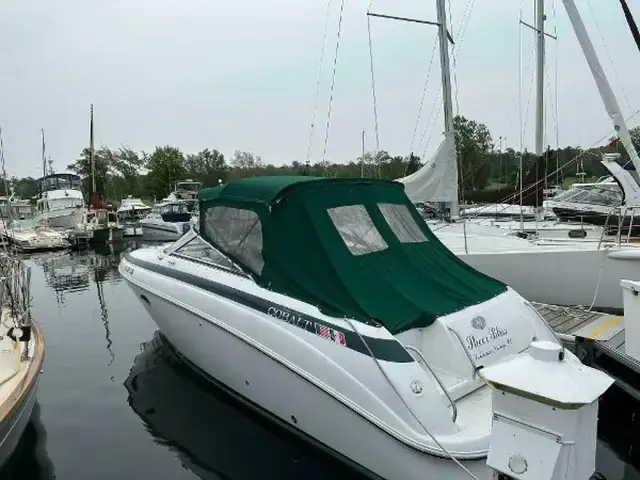 Cobalt 29