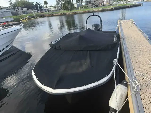 Bayliner Element 16