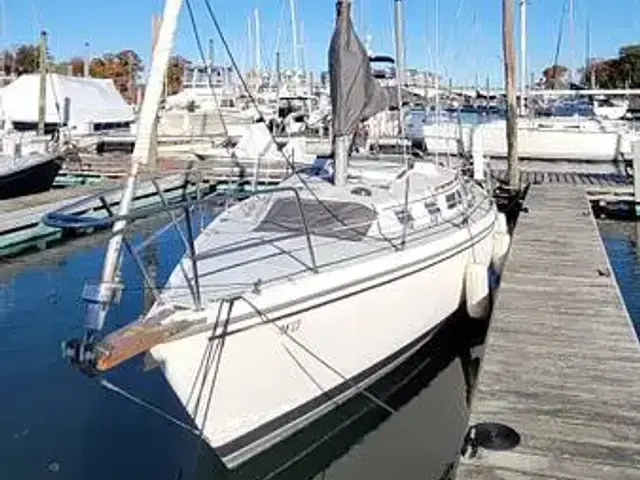 Catalina 30 Tall Rig