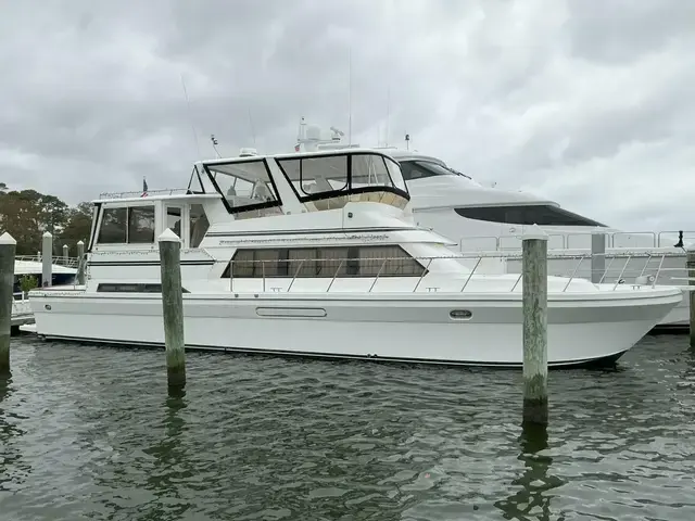 Novatec Islander 55