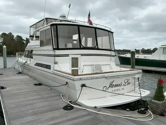 Novatec Islander 55