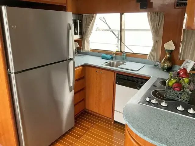 Novatec Islander 55