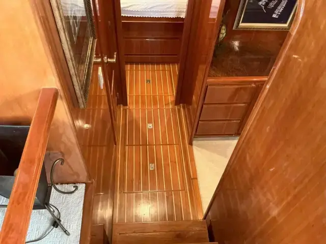 Novatec Islander 55