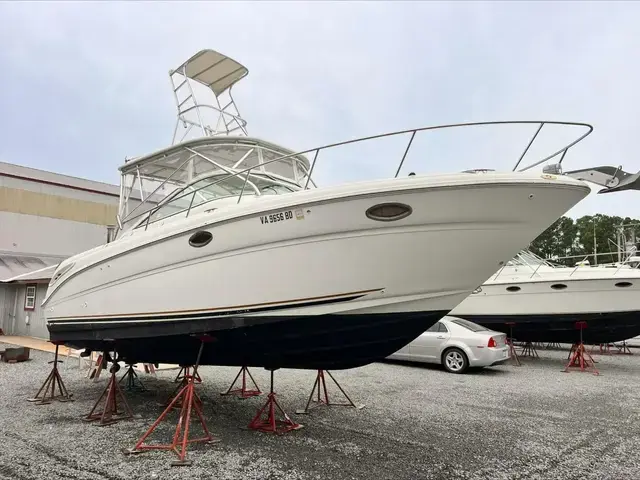 Sea Ray 290 Amberjack