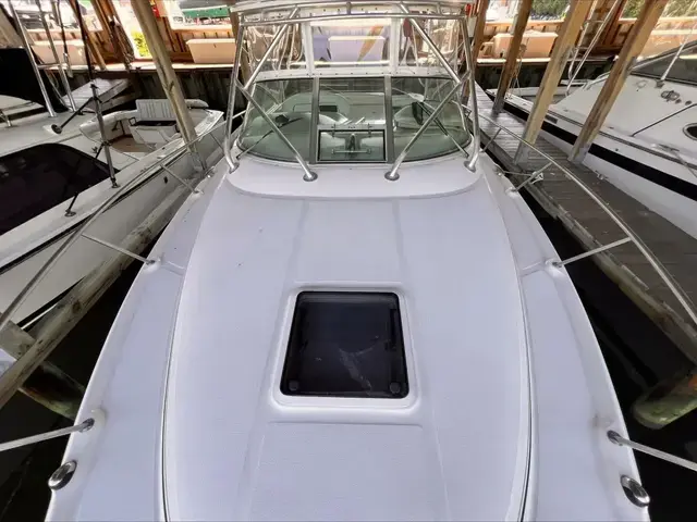 Sea Ray 290 Amberjack