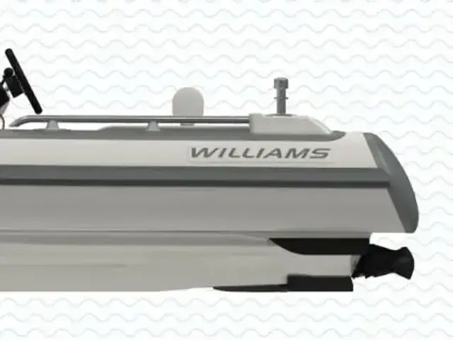 Williams Jet Tenders Sportjet 435