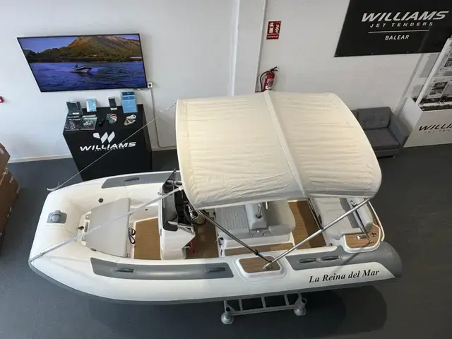 Williams Jet Tenders Dieseljet 445