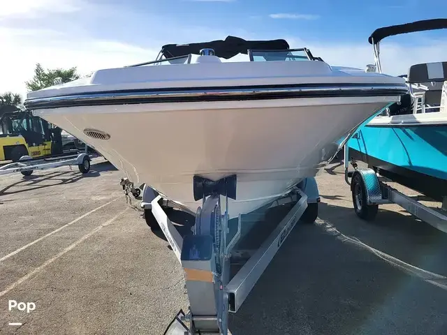 Sea Ray SPX 210 OB