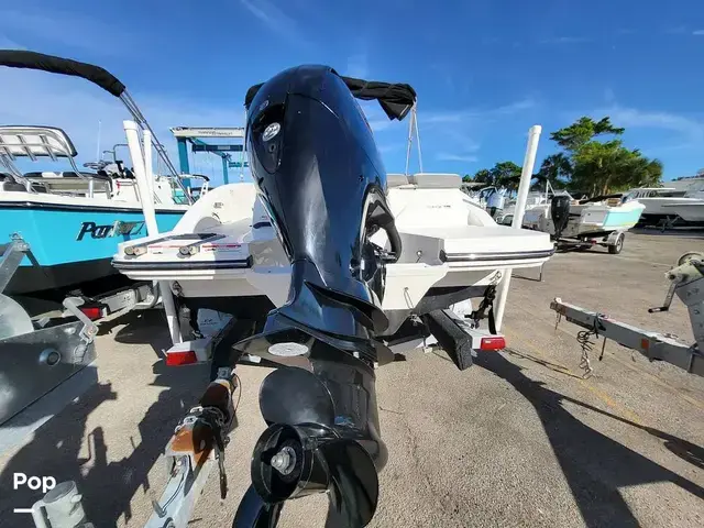 Sea Ray SPX 210 OB