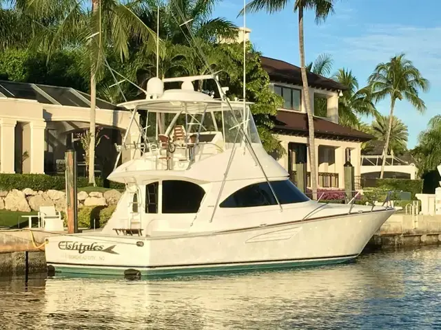 Viking 48