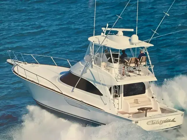 Viking 48