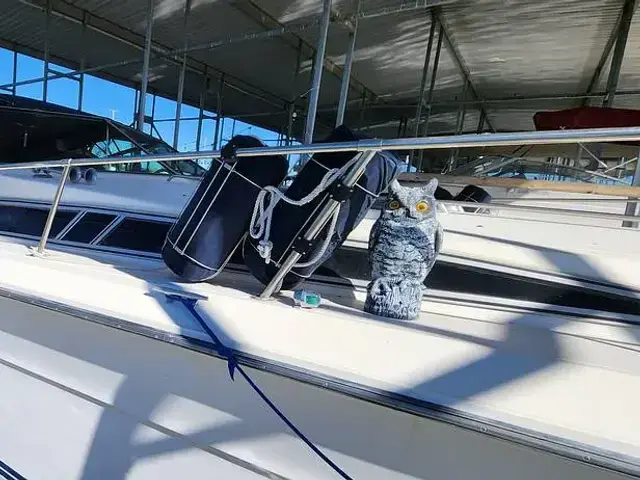 Sea Ray 390 Express Cruiser