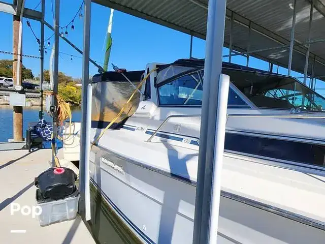 Sea Ray 390 Express Cruiser