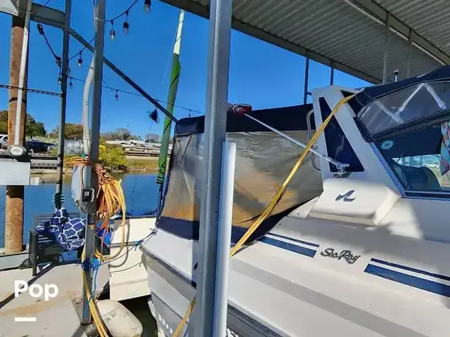 Sea Ray 390 Express Cruiser