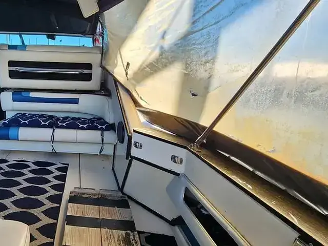 Sea Ray 390 Express Cruiser