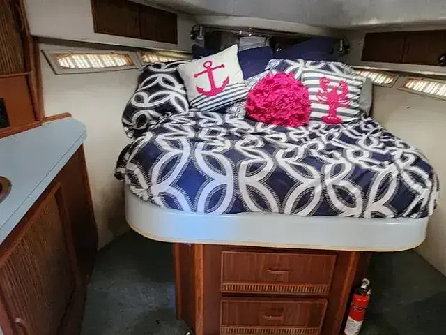 Sea Ray 390 Express Cruiser