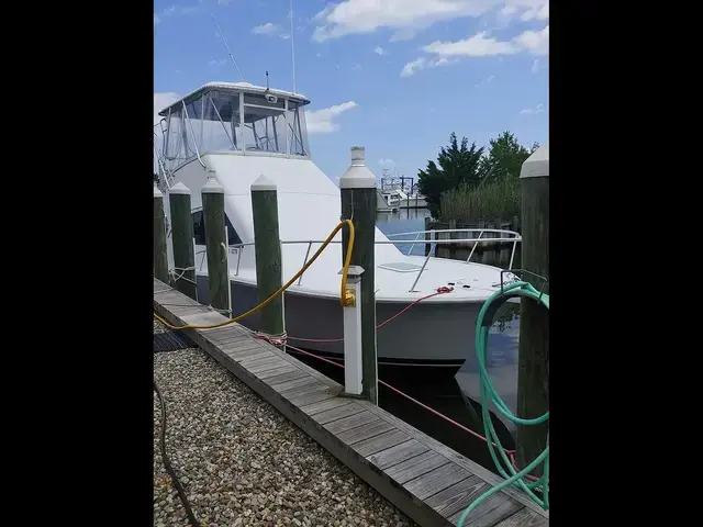 Luhrs 34 Convertible