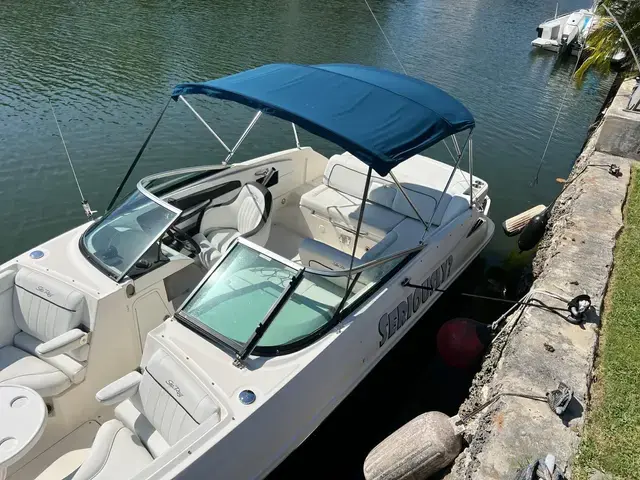 Sea Ray 240 Sundeck