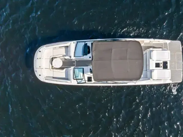 Sea Ray 290 Sundeck