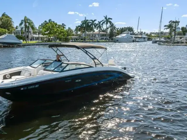 Sea Ray 290 Sundeck