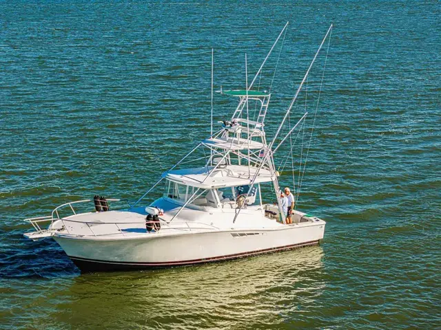 Luhrs 40 Open