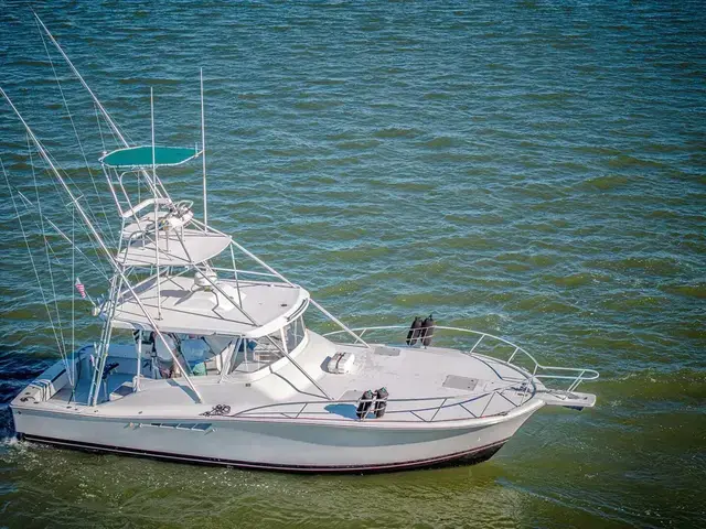 Luhrs 40 Open