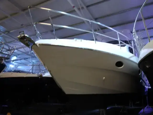 Azimut 42