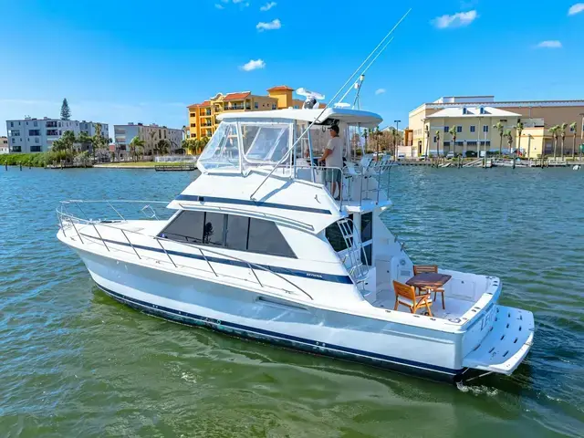 Riviera 43 Flybridge