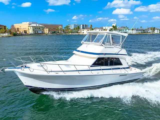 Riviera 43 Flybridge