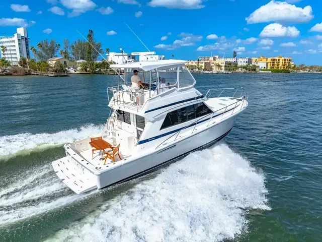 Riviera 43 Flybridge