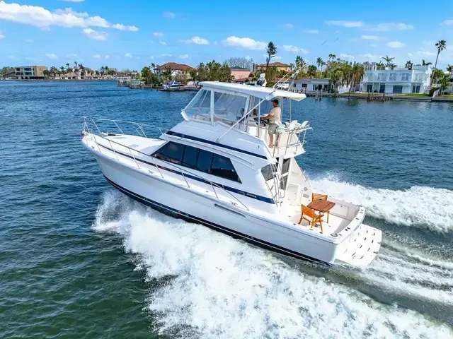 Riviera 43 Flybridge