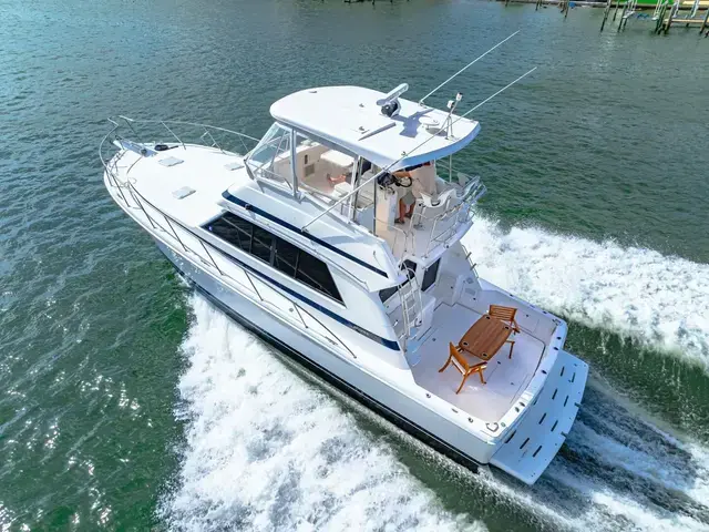 Riviera 43 Flybridge