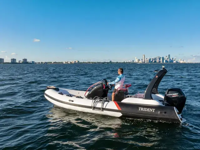 Trident 21 rib