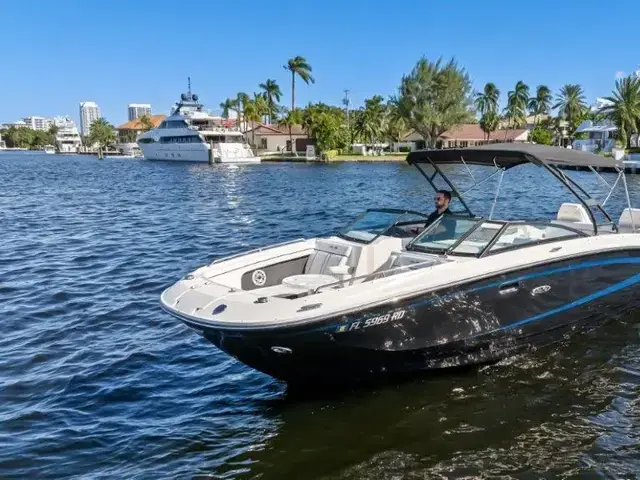 Sea Ray 290 Sundeck