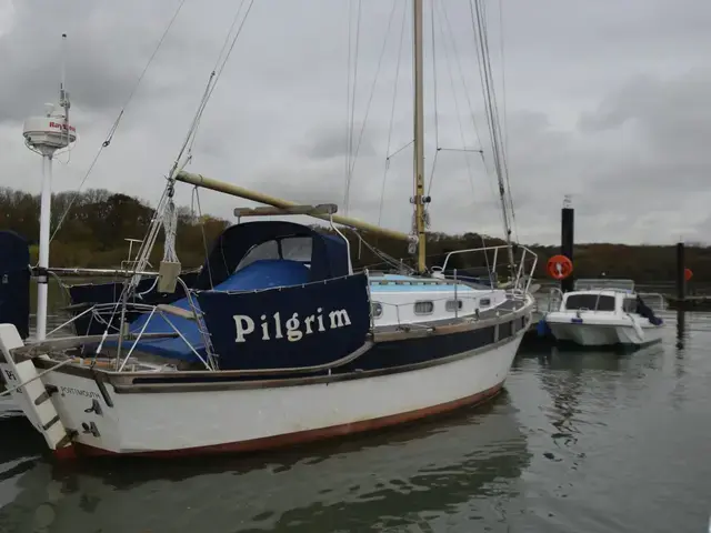 Golden Hind 31