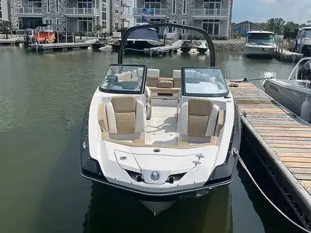 Scarab Ho 255 Platinum