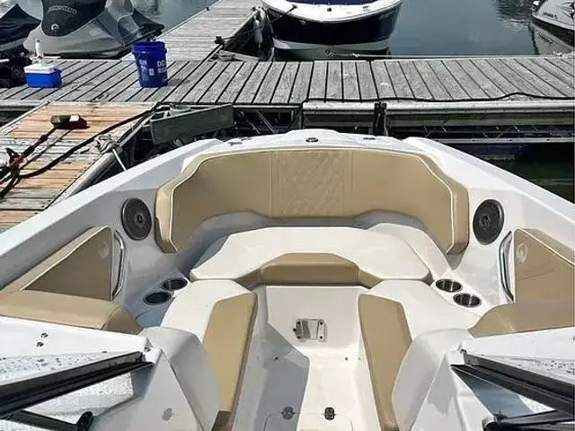 Scarab Ho 255 Platinum