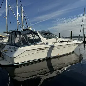 1990 Sea Ray Sundancer 420