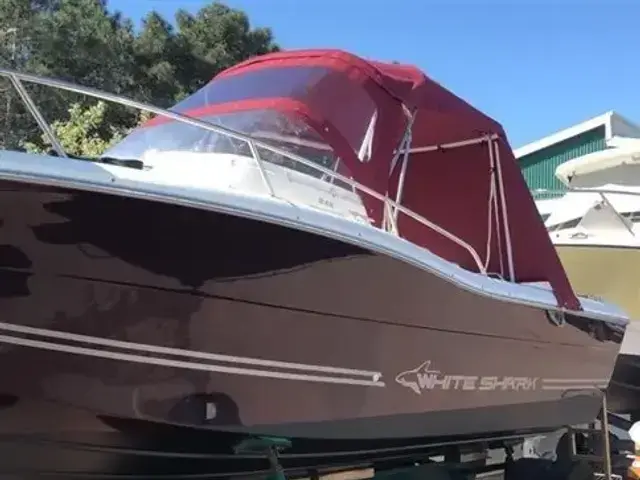 Kelt WHITE SHARK 248 SUNDECK