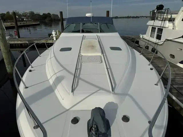 Sea Ray Sundancer 420