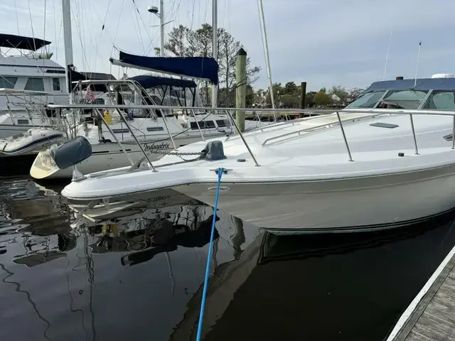 Sea Ray Sundancer 420