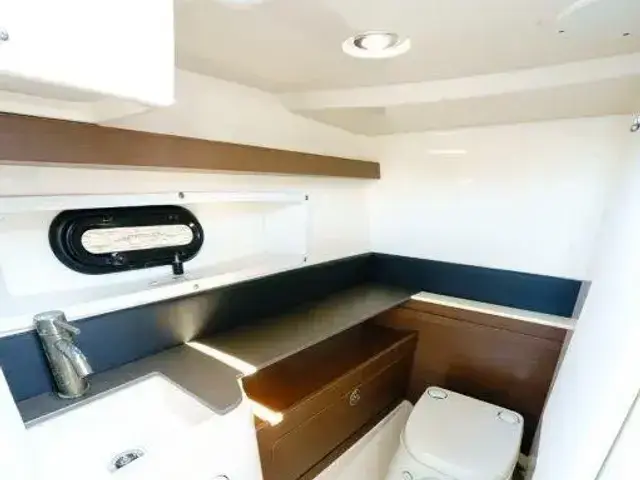 Sea Ray 290 Sundeck