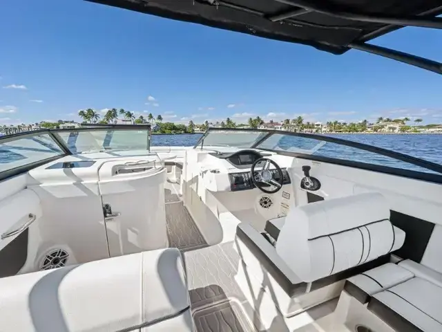 Sea Ray 290 Sundeck