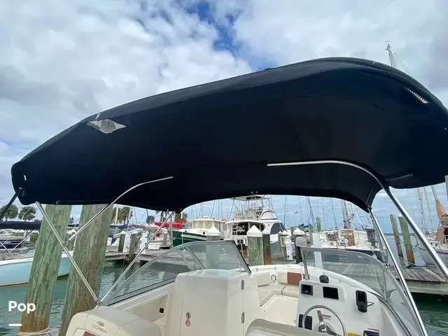 Cobia 220 Dc