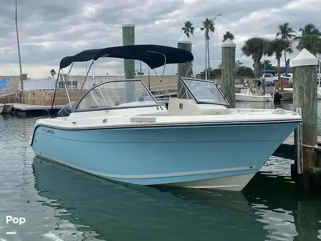 Cobia 220 Dc