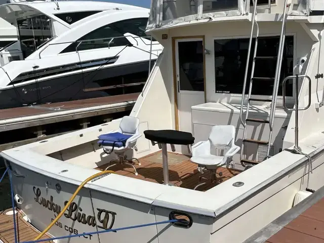 Viking 45 Convertible