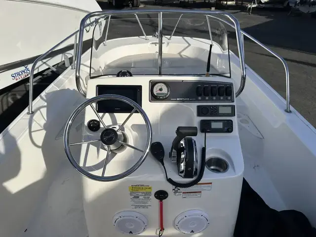 Boston Whaler 170 Montauk