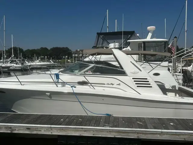 Sea Ray 33